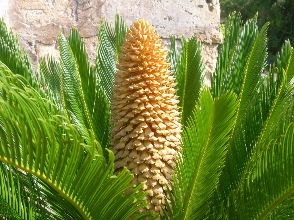Finca Son Josep De Baix Calas de Mallorca Esterno foto