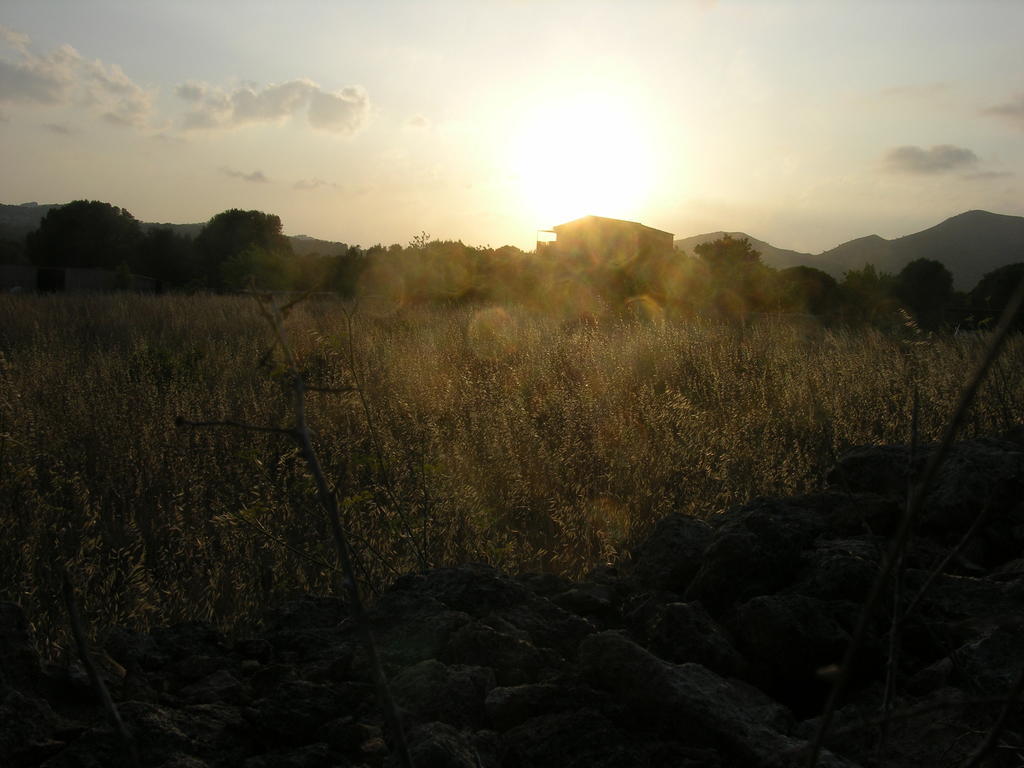 Finca Son Josep De Baix Calas de Mallorca Esterno foto